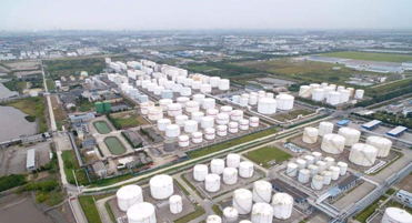 Image-1